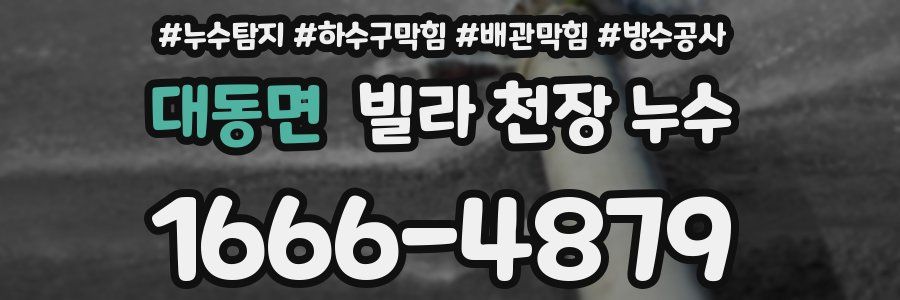 대동면 빌라 천장 누수