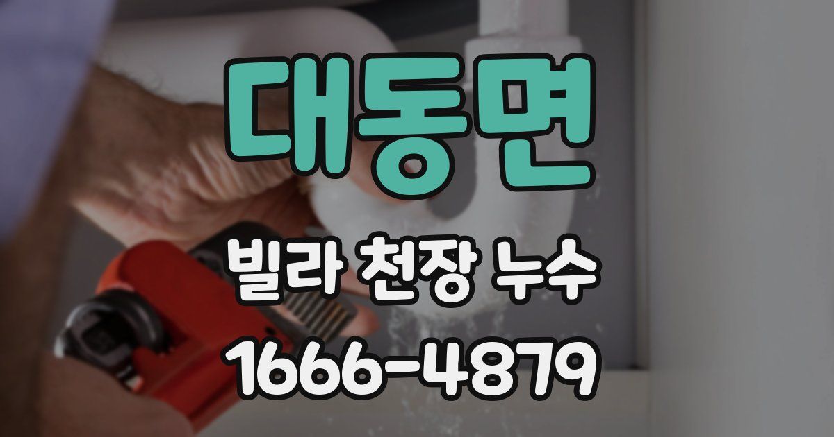 대동면 빌라 천장 누수