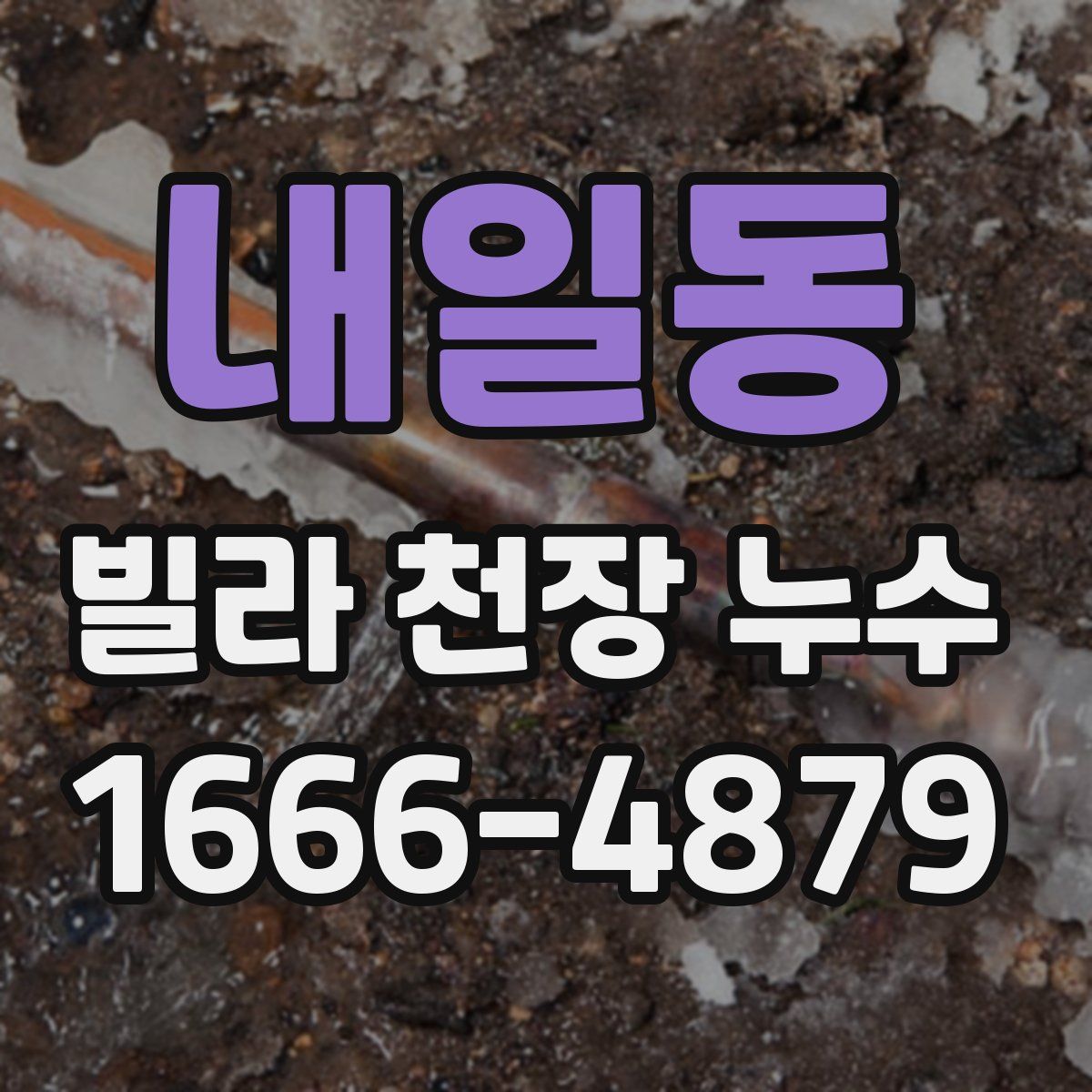 내일동 빌라 천장 누수