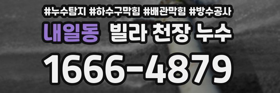 내일동 빌라 천장 누수