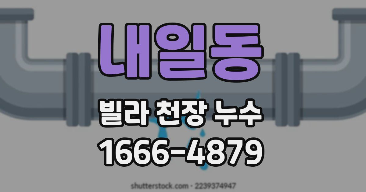 내일동 빌라 천장 누수