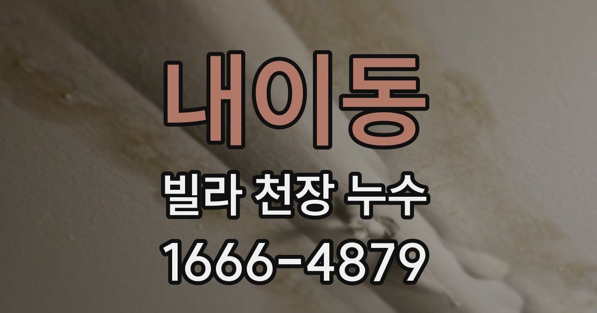 내이동 빌라 천장 누수