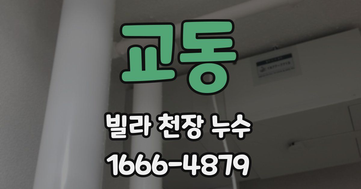 교동 빌라 천장 누수