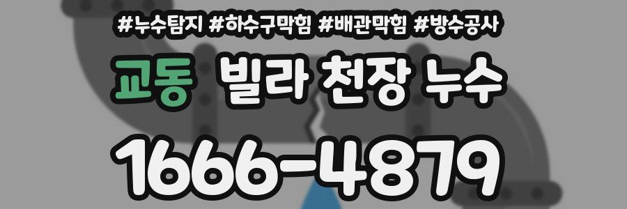 교동 빌라 천장 누수