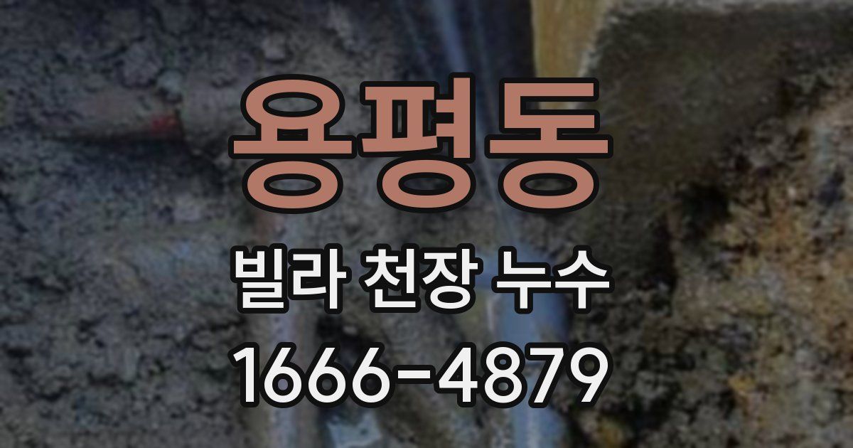 용평동 빌라 천장 누수