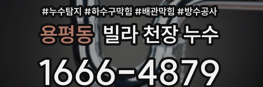 용평동 빌라 천장 누수