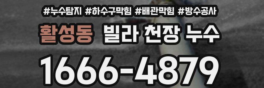 활성동 빌라 천장 누수