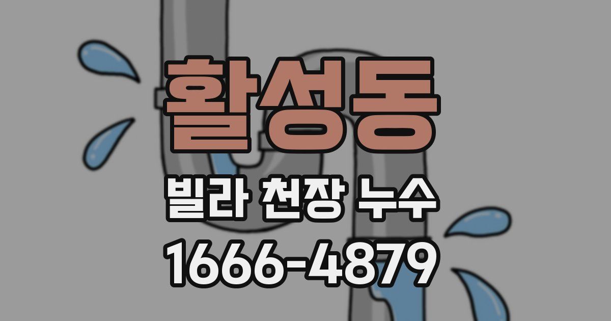 활성동 빌라 천장 누수