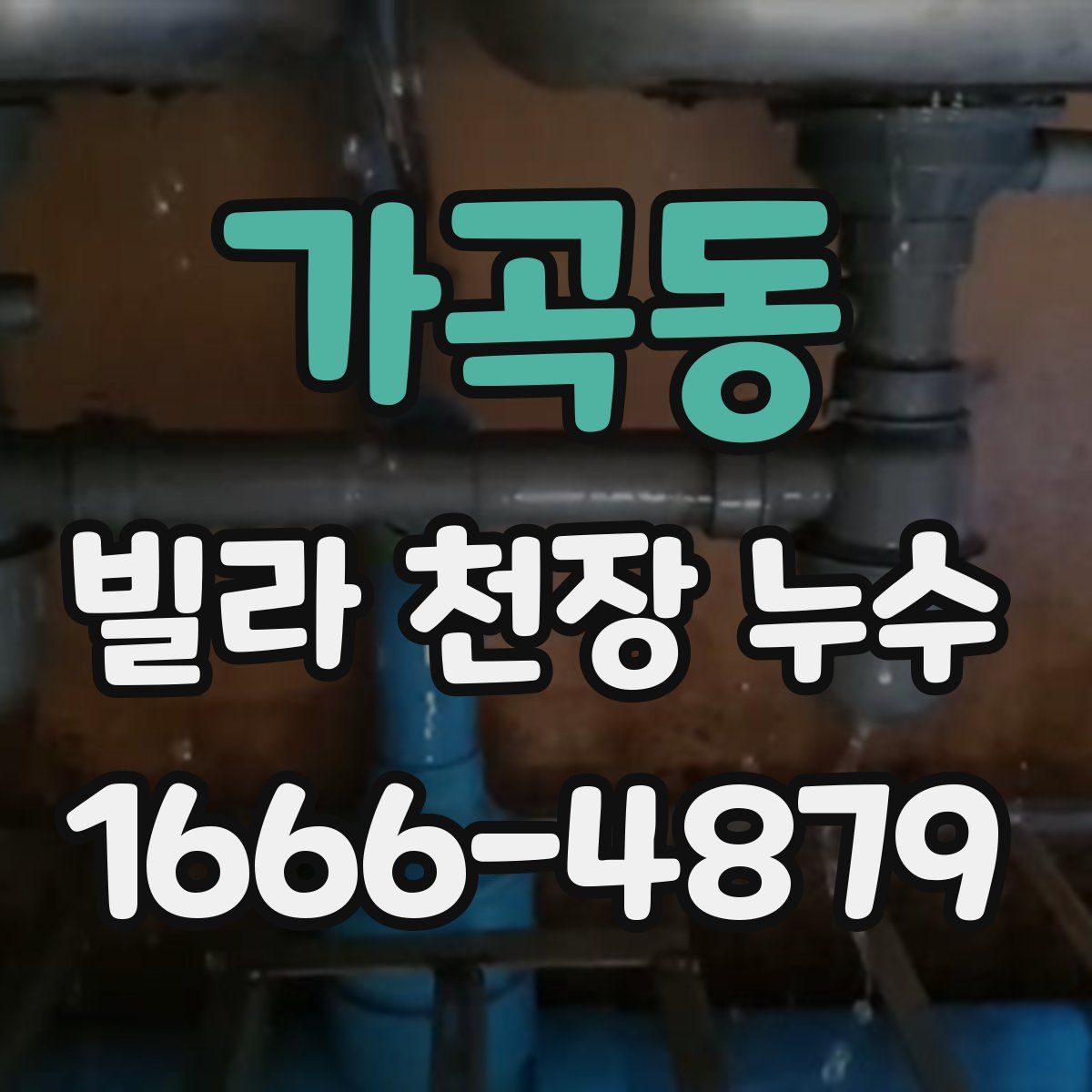 가곡동 빌라 천장 누수