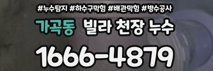 가곡동 빌라 천장 누수