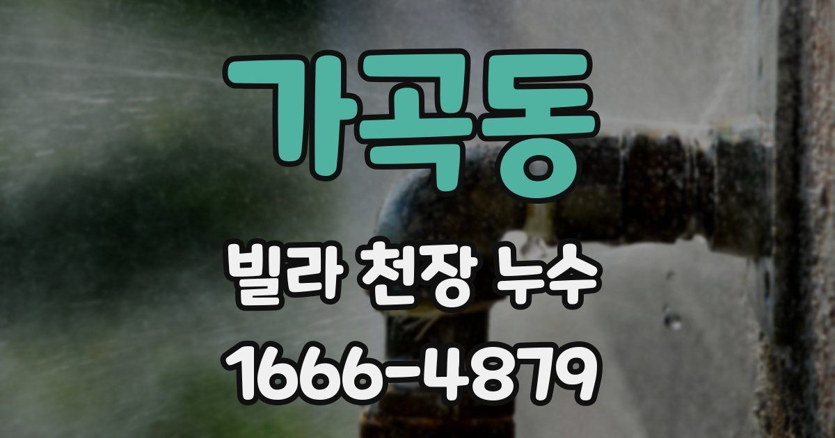 가곡동 빌라 천장 누수