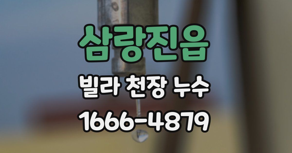 삼랑진읍 빌라 천장 누수