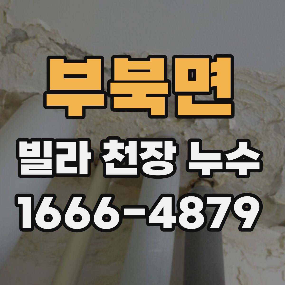 부북면 빌라 천장 누수