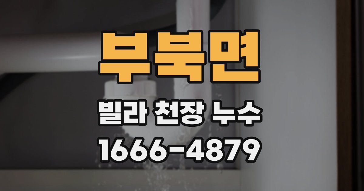 부북면 빌라 천장 누수