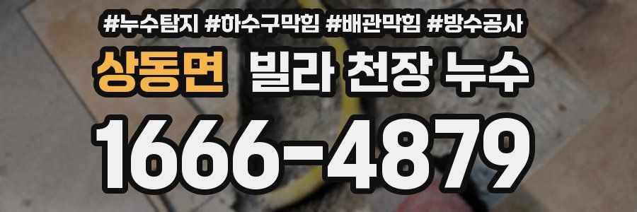 상동면 빌라 천장 누수