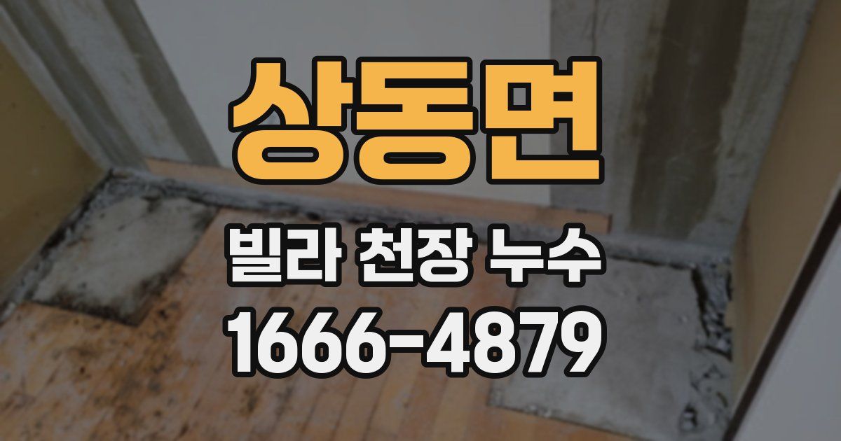 상동면 빌라 천장 누수