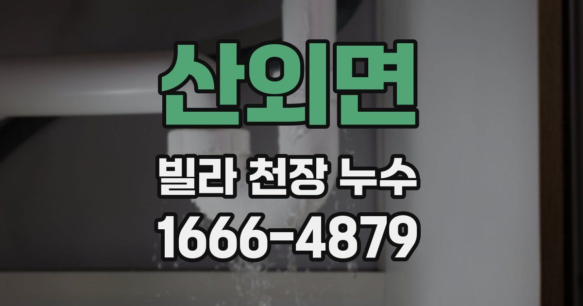 산외면 빌라 천장 누수