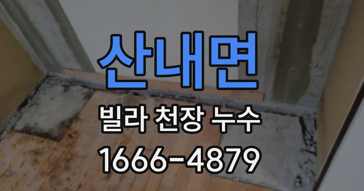산내면 빌라 천장 누수