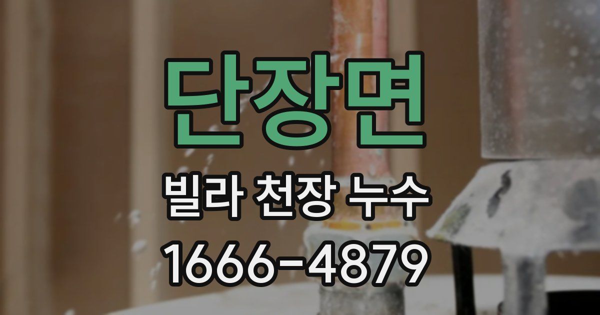 단장면 빌라 천장 누수