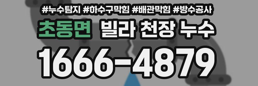 초동면 빌라 천장 누수