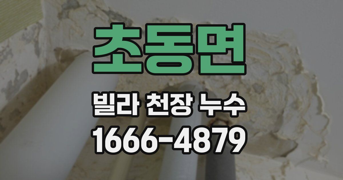 초동면 빌라 천장 누수