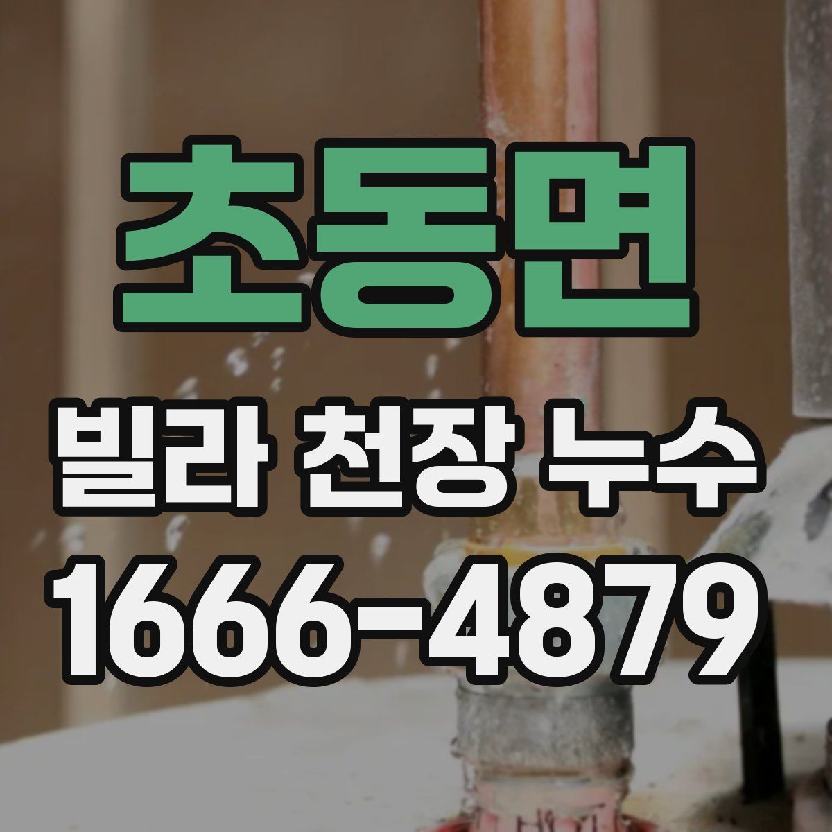 초동면 빌라 천장 누수