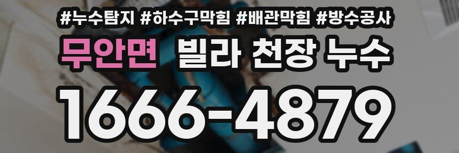 무안면 빌라 천장 누수