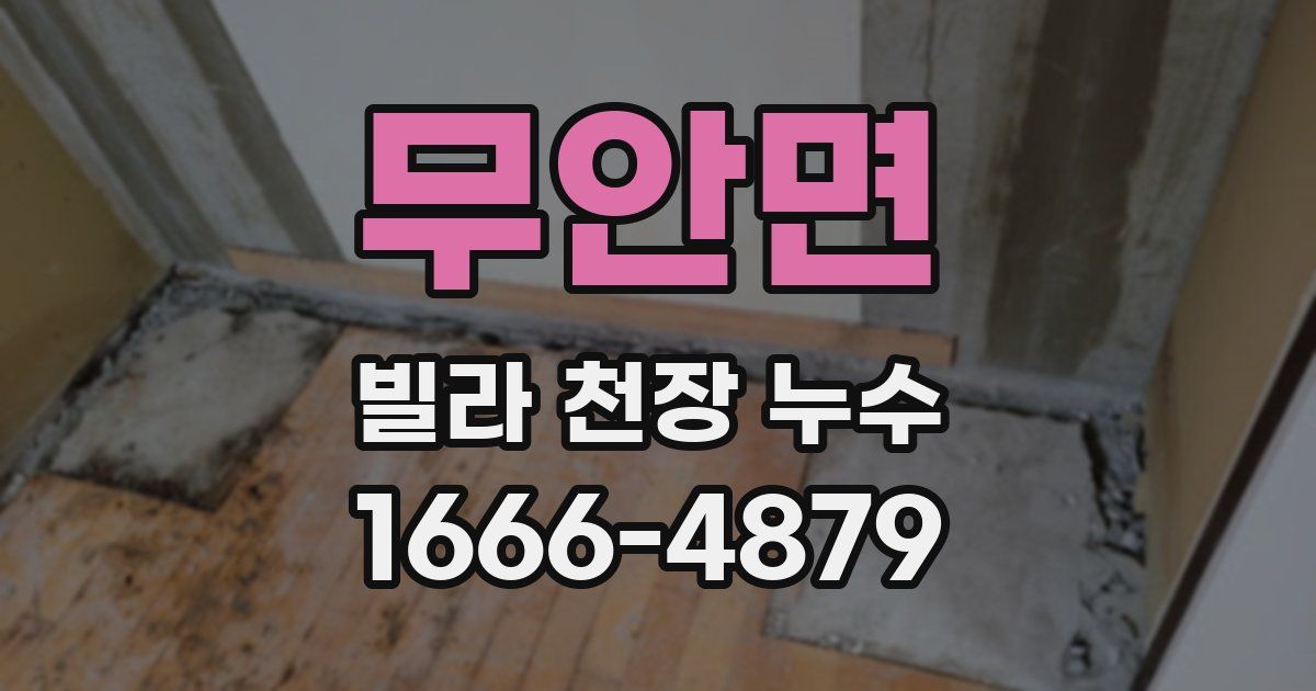 무안면 빌라 천장 누수