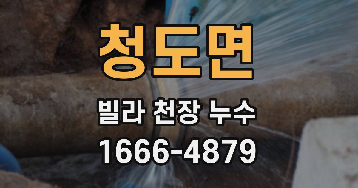 청도면 빌라 천장 누수