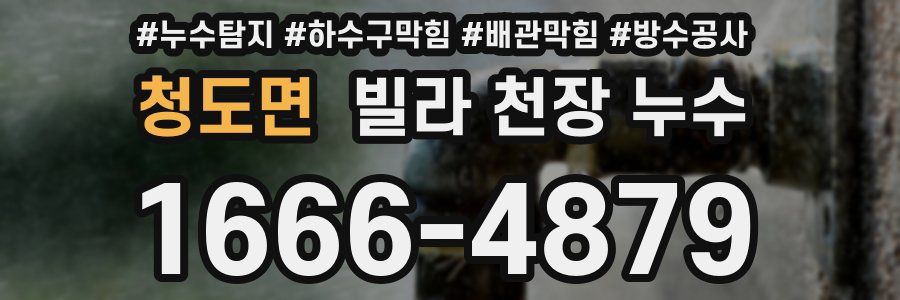 청도면 빌라 천장 누수