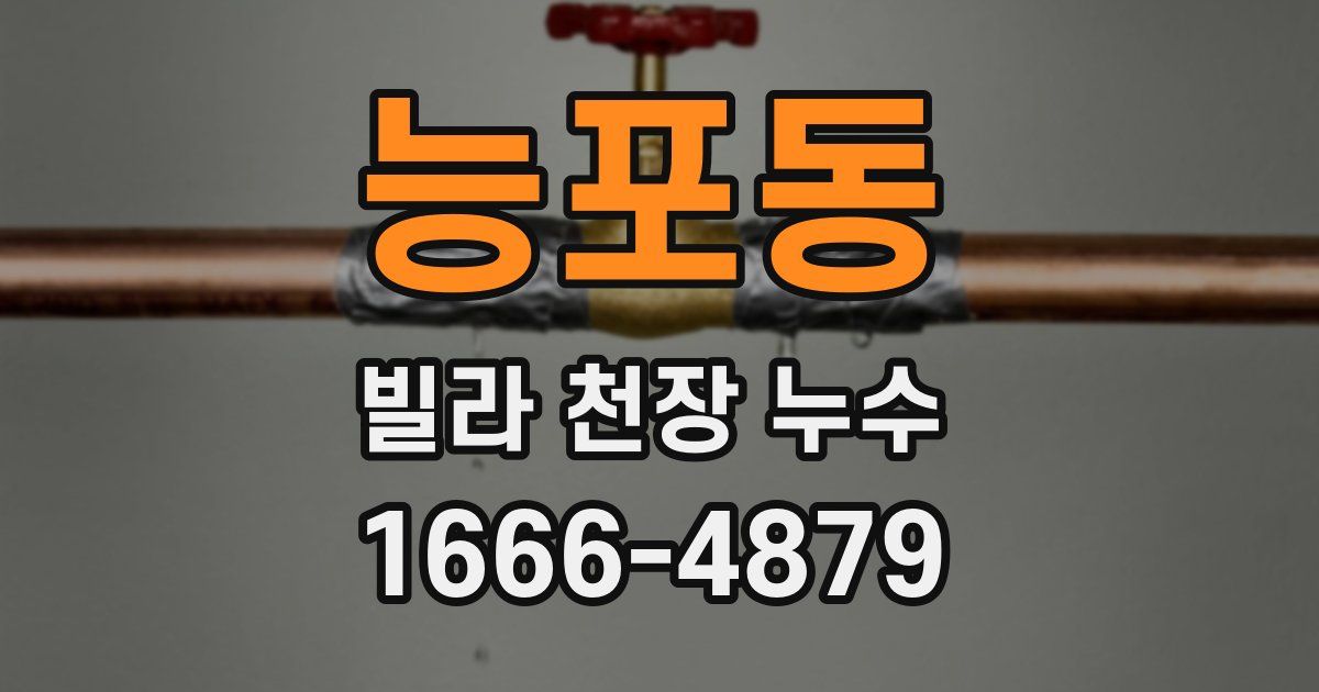 능포동 빌라 천장 누수