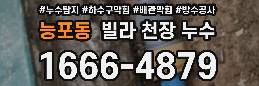 능포동 빌라 천장 누수