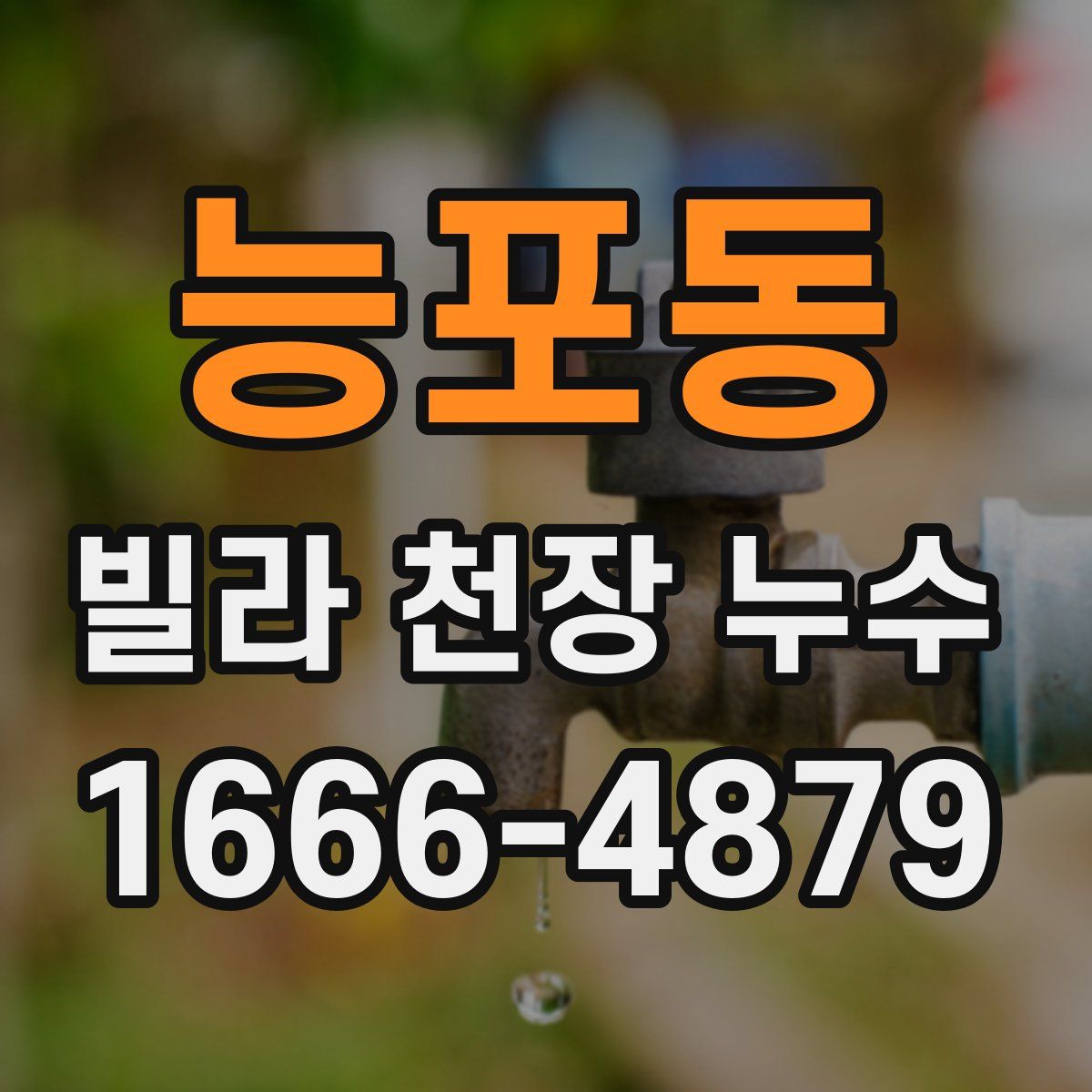 능포동 빌라 천장 누수