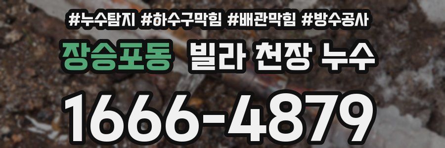 장승포동 빌라 천장 누수