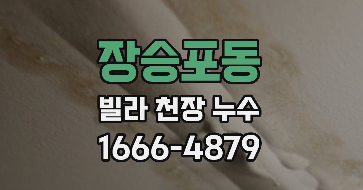장승포동 빌라 천장 누수