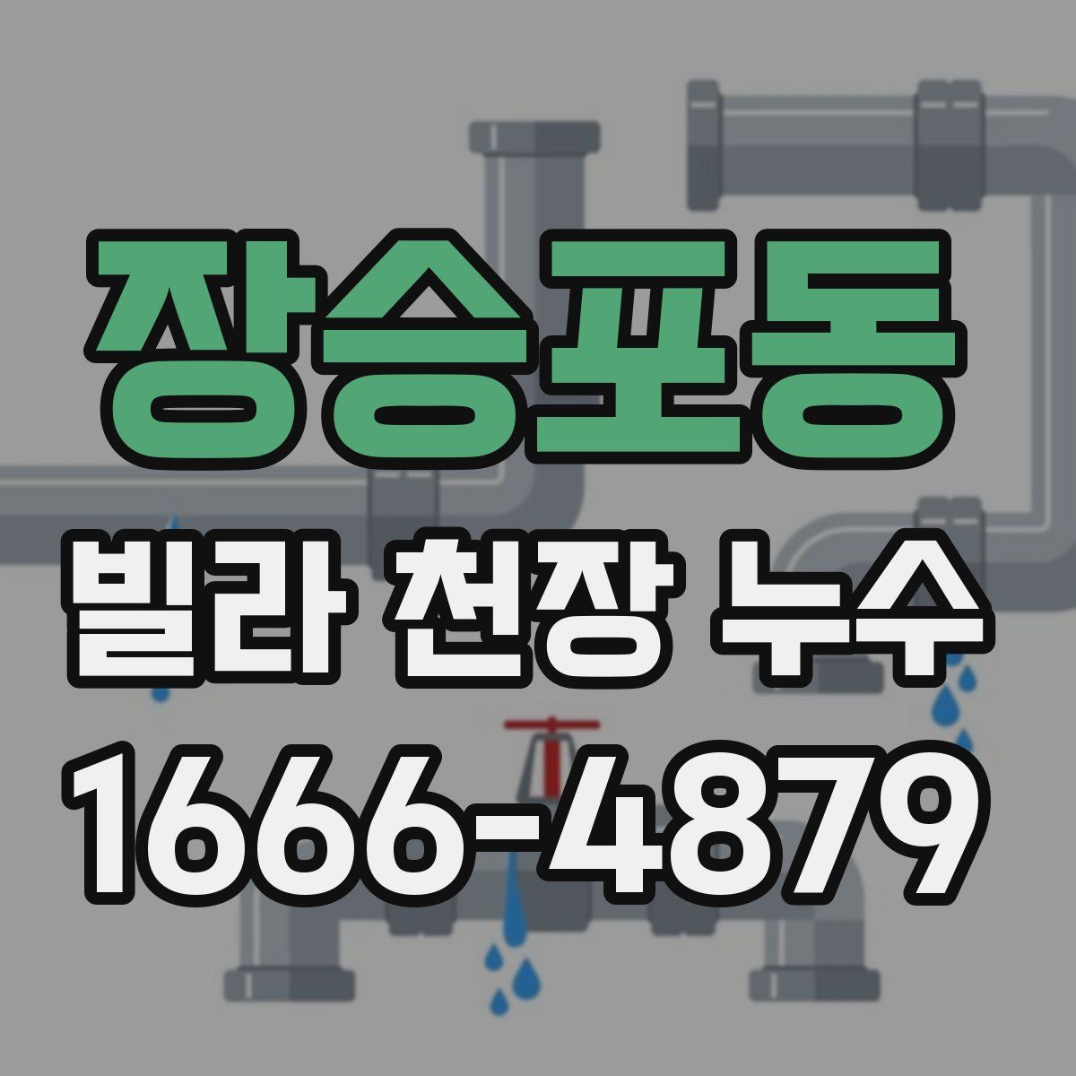장승포동 빌라 천장 누수