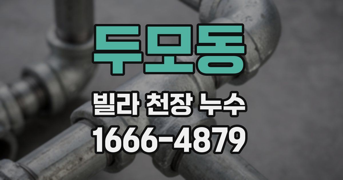두모동 빌라 천장 누수