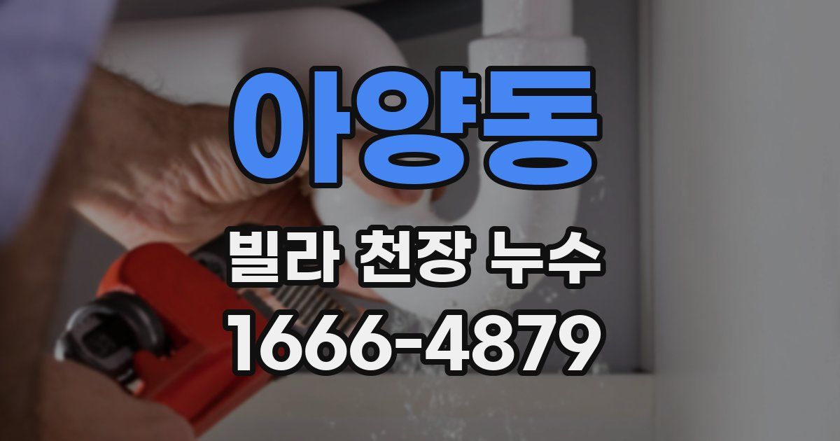 아양동 빌라 천장 누수