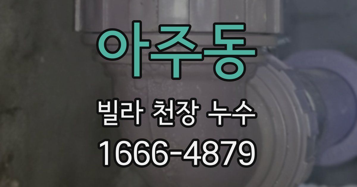 아주동 빌라 천장 누수