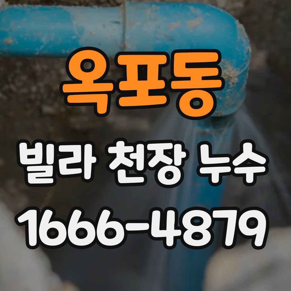 옥포동 빌라 천장 누수