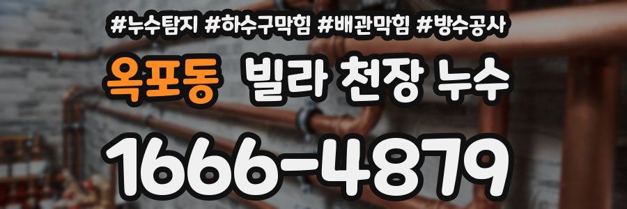 옥포동 빌라 천장 누수