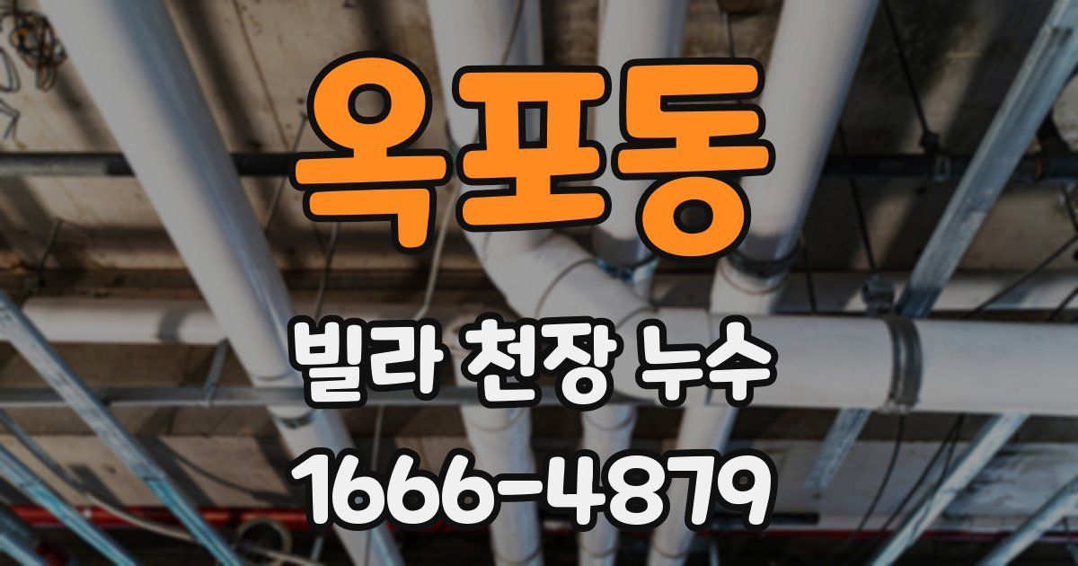 옥포동 빌라 천장 누수