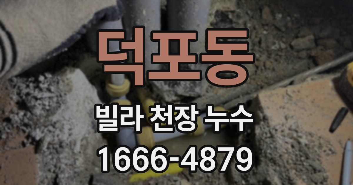 덕포동 빌라 천장 누수