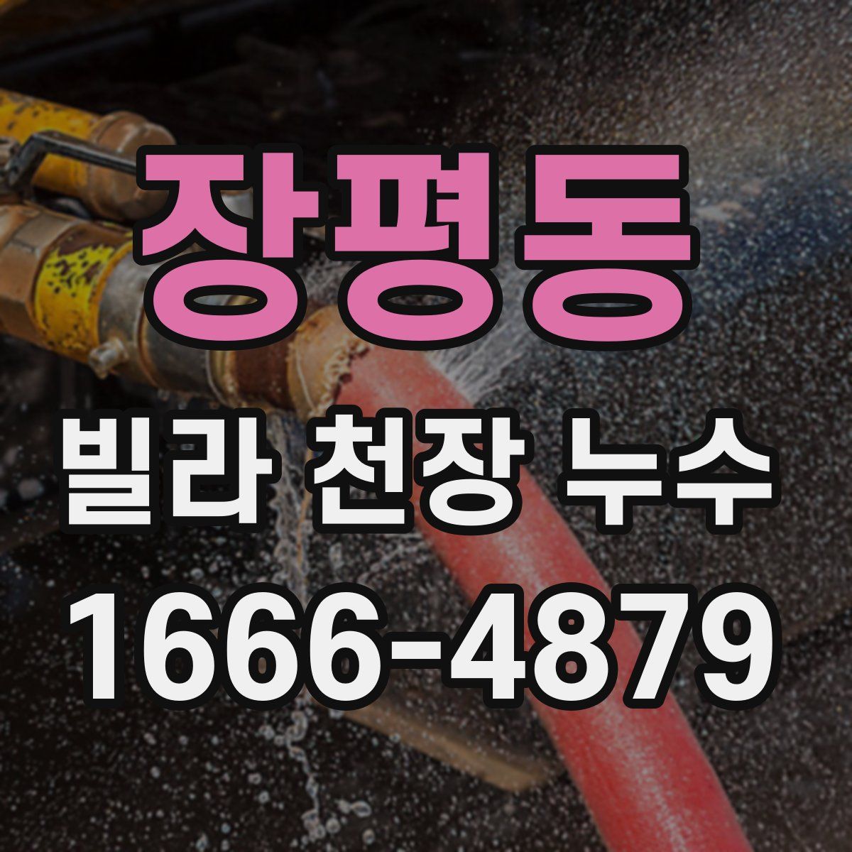 장평동 빌라 천장 누수