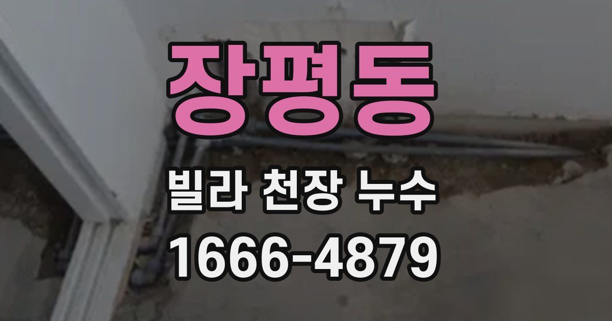 장평동 빌라 천장 누수