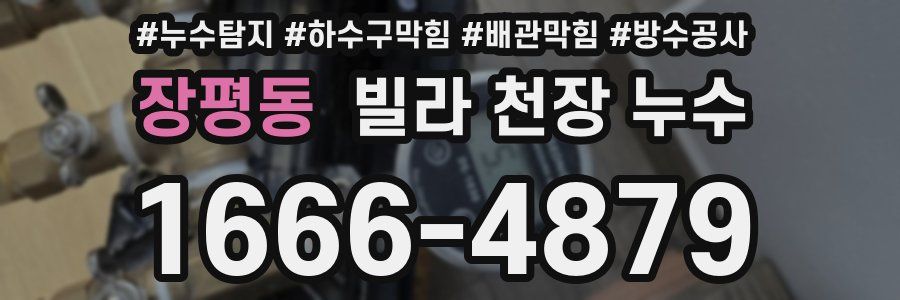 장평동 빌라 천장 누수