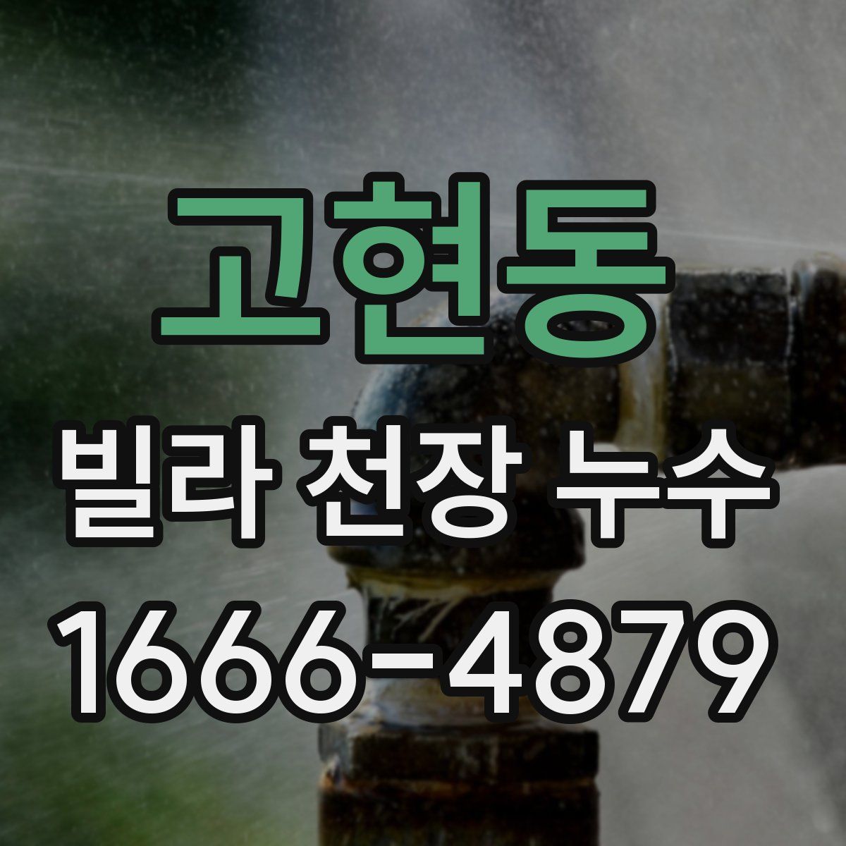고현동 빌라 천장 누수