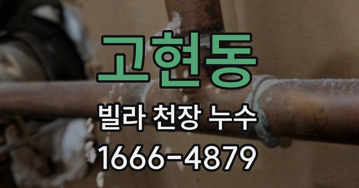 고현동 빌라 천장 누수