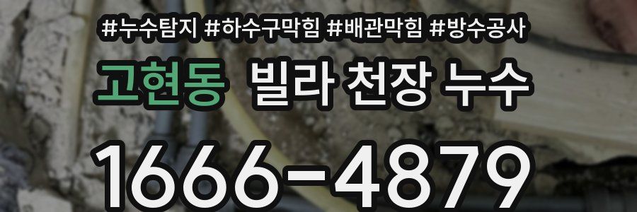 고현동 빌라 천장 누수