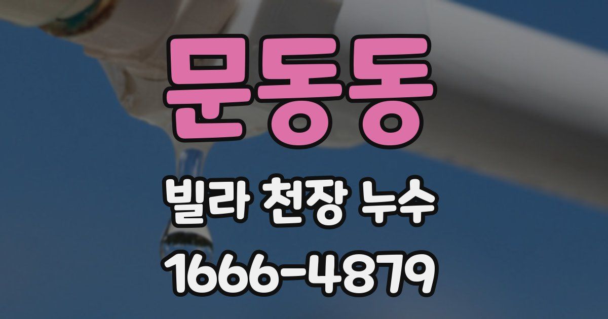 문동동 빌라 천장 누수